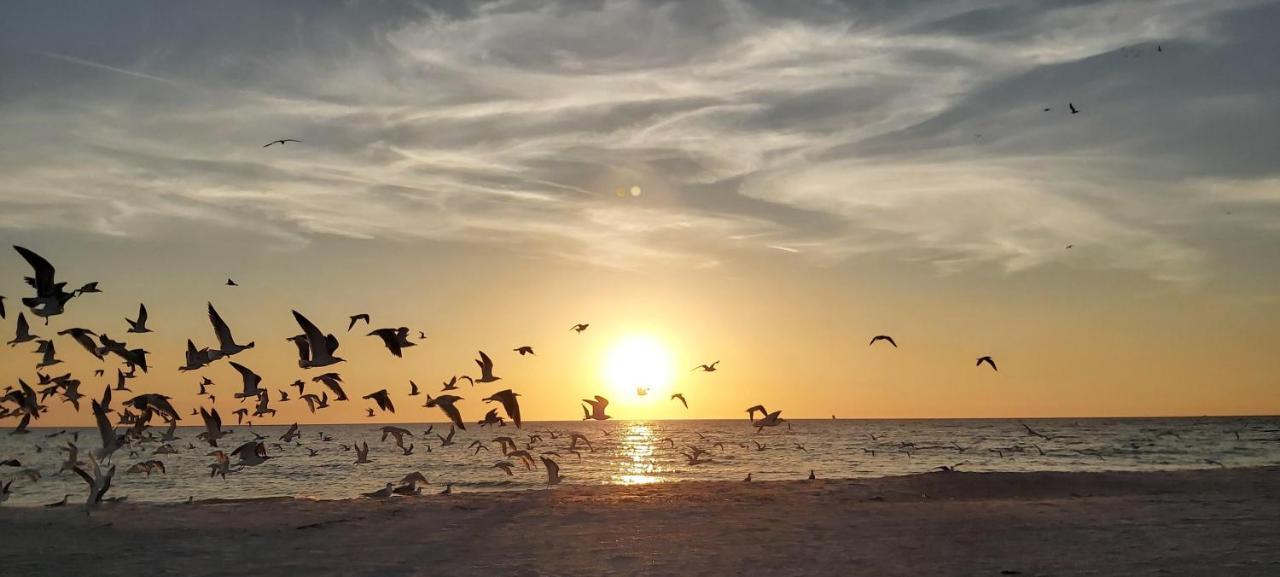 Sunset Vistas 407S Villa St. Pete Beach Exteriör bild